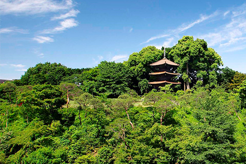 Hotel Chinanso Tokyo